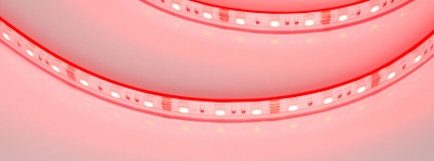 153a8e79626833360e91e09e190a9e9c